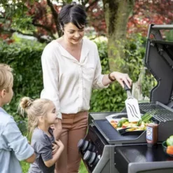 Barbecue Gaz Rogue 365 R 2 Brûleurs - NAPOLEON -Weber Promos Boutique barbecue gaz rogue 365 serie r 2 bruleurs 2