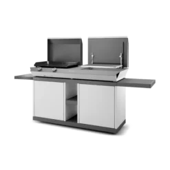 Table Roulante Acier Ferme Pour Combi G Ng